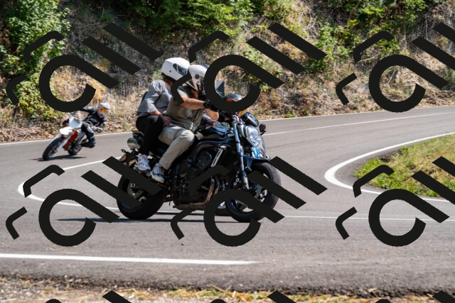 202508101522-_DSC3596_d2_