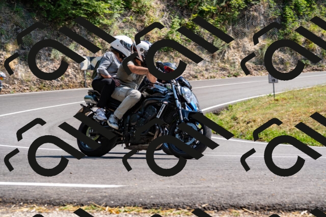 202508101522-_DSC3597_d2_