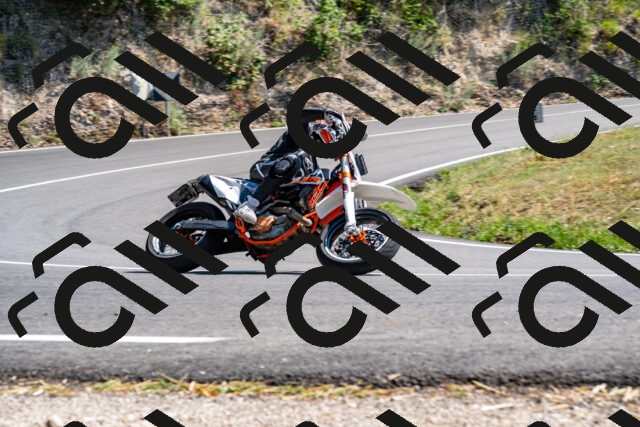 202508101522-_DSC3599_d2_