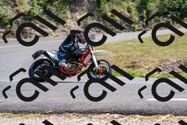 202508101522-_DSC3600_d2_