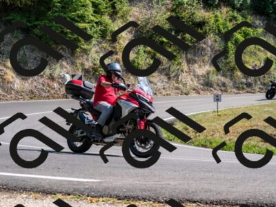 202508101531-_DSC3649_d2_