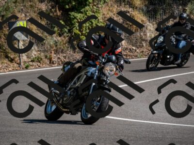 202508101531-_DSC3662_d2_