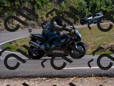 202508101537-_DSC3696_d2_