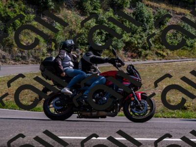 202508101547-_DSC3753_d2_