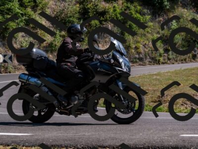 202508101547-_DSC3754_d2_