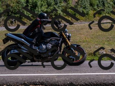 202508101558-_DSC3800_d2_