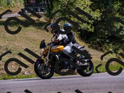 202508101559-_DSC3808_d2_