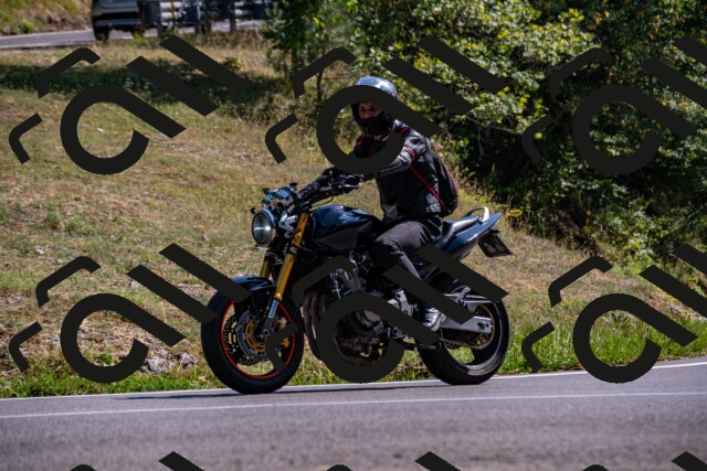 202508101600-_DSC3810_d2_