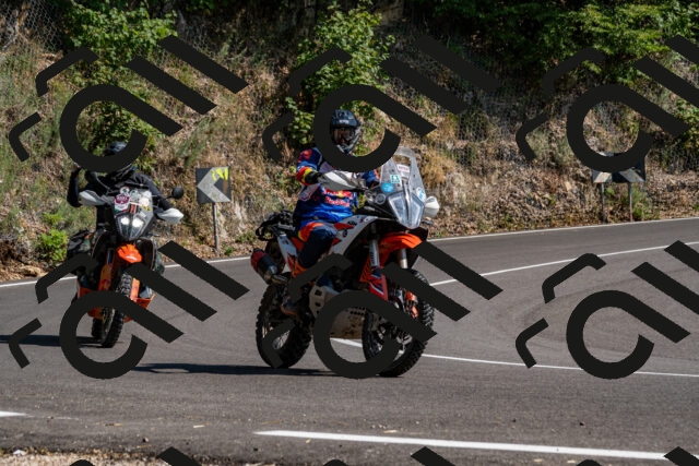 202508101600-_DSC3812_d2_