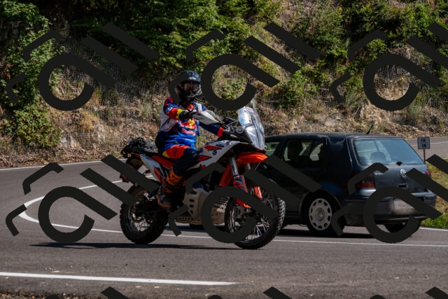 202508101600-_DSC3813_d2_