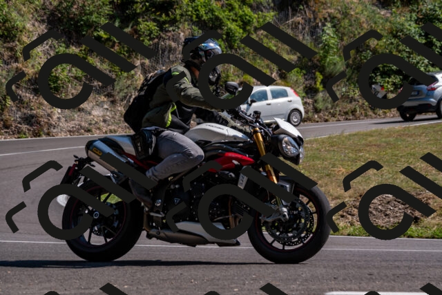 202508101602-_DSC3819_d2_