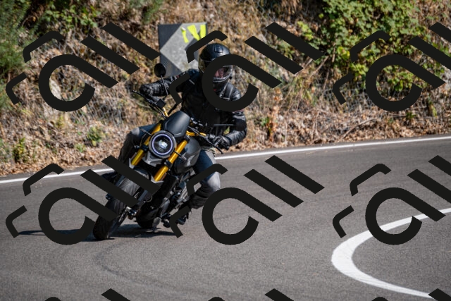 202508101603-_DSC3824_d2_