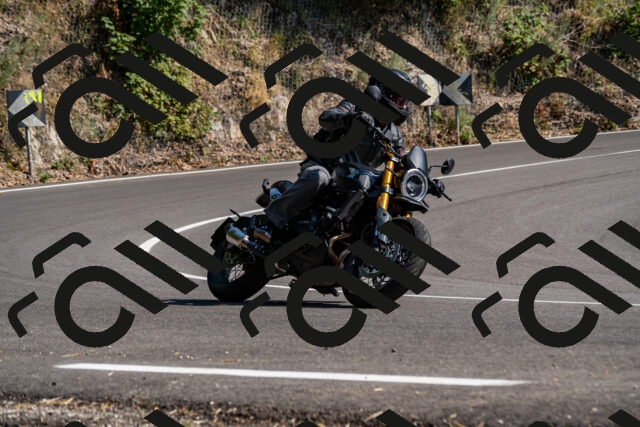 202508101603-_DSC3825_d2_