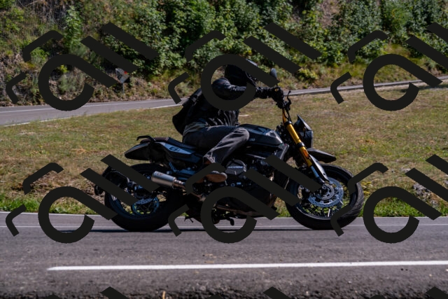 202508101603-_DSC3826_d2_