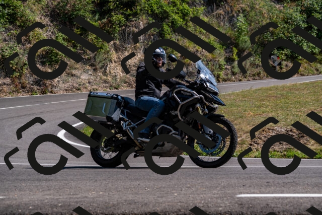 202508101604-_DSC3829_d2_