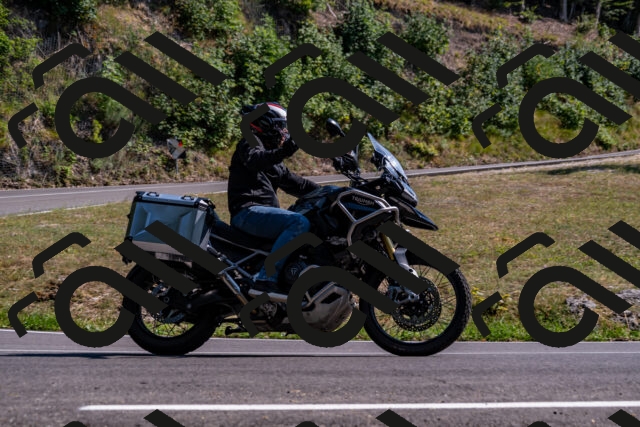 202508101604-_DSC3830_d2_