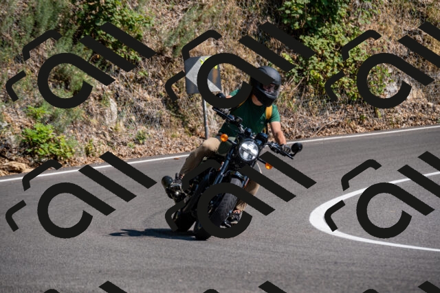 202508101605-_DSC3831_d2_