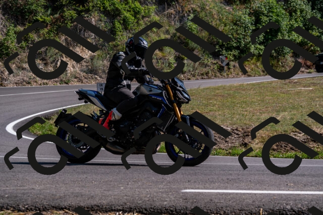 202508101606-_DSC3839_d2_