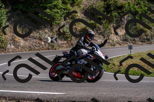 202508101606-_DSC3840_d2_