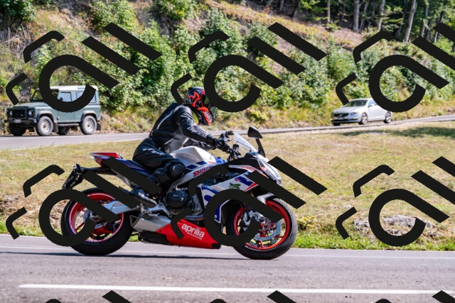 202508101606-_DSC3842_d2_