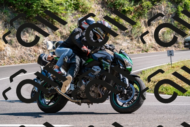 202508101606-_DSC3845_d2_