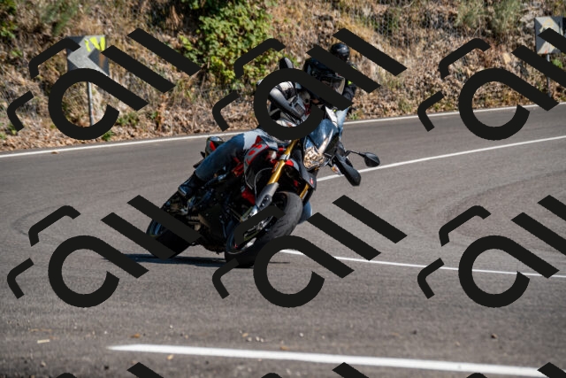 202508101607-_DSC3848_d2_