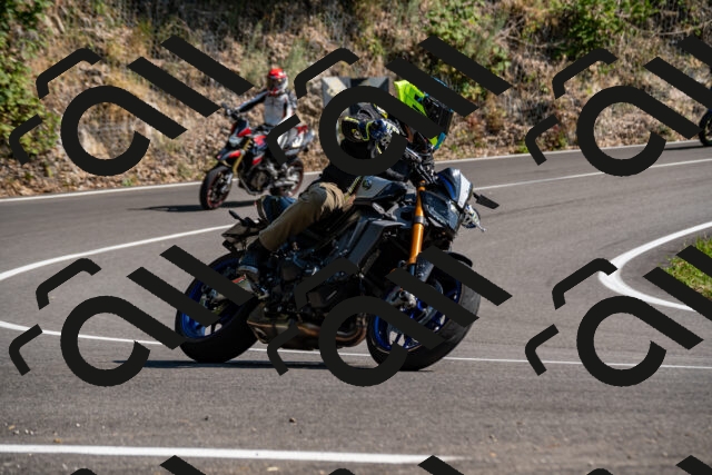 202508101607-_DSC3854_d2_