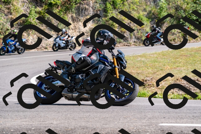 202508101607-_DSC3857_d2_