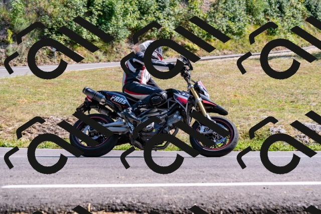 202508101607-_DSC3860_d2_