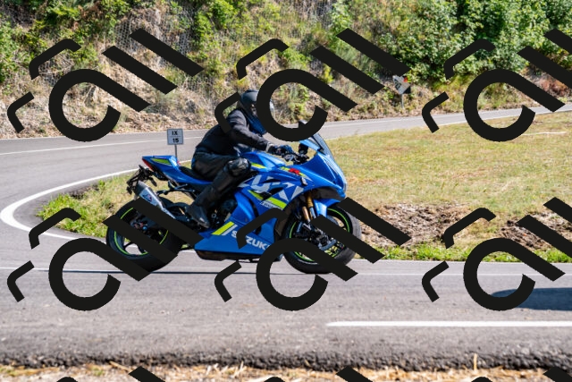 202508101607-_DSC3862_d2_