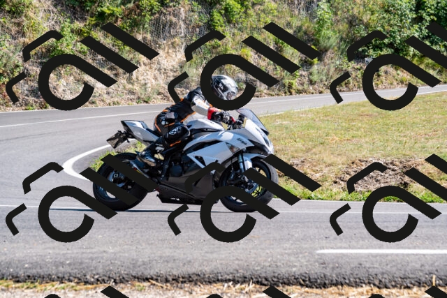 202508101607-_DSC3865_d2_