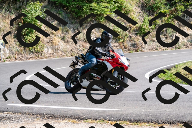 202508101607-_DSC3866_d2_