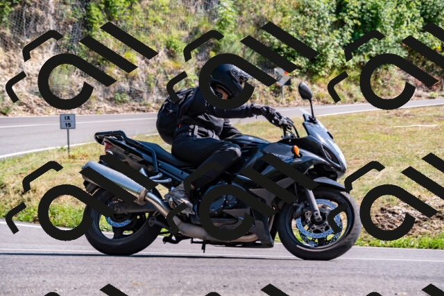 202508101609-_DSC3873_d2_