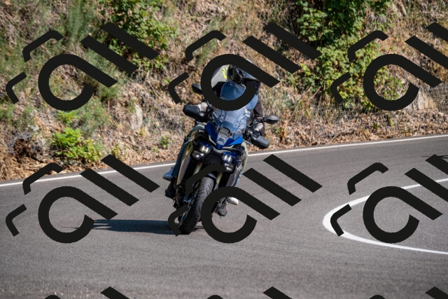 202508101619-_DSC3882_d2_