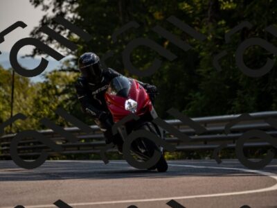 202508101625-_DSC3901_d2_