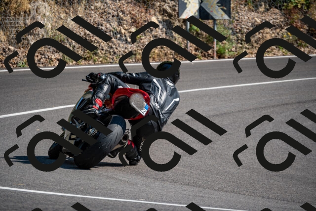 202508101625-_DSC3906_d2_