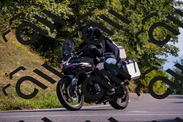 202508101625-_DSC3908_d2_