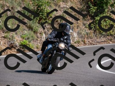 202508101627-_DSC3914_d2_