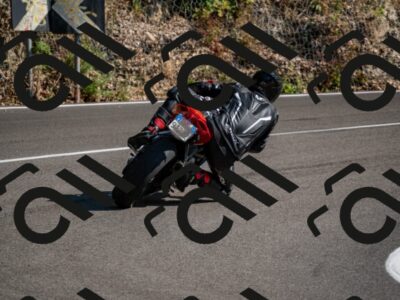 202508101631-_DSC3946_d2_