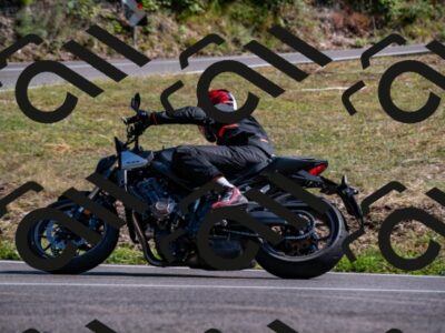 202508101636-_DSC3958_d2_