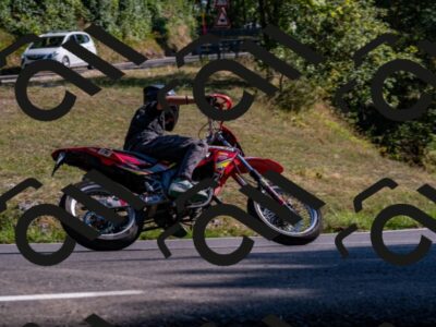 202508101639-_DSC3980_d2_