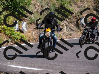 202508101639-_DSC3981_d2_