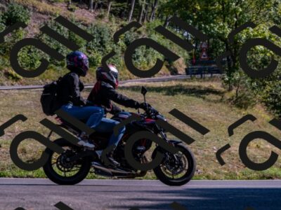 202508101643-_DSC4002_d2_