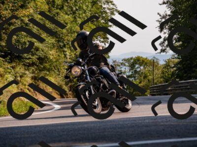 202508101646-_DSC4014_d2_