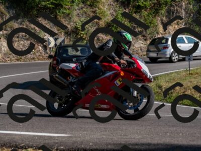 202508101652-_DSC4042_d2_