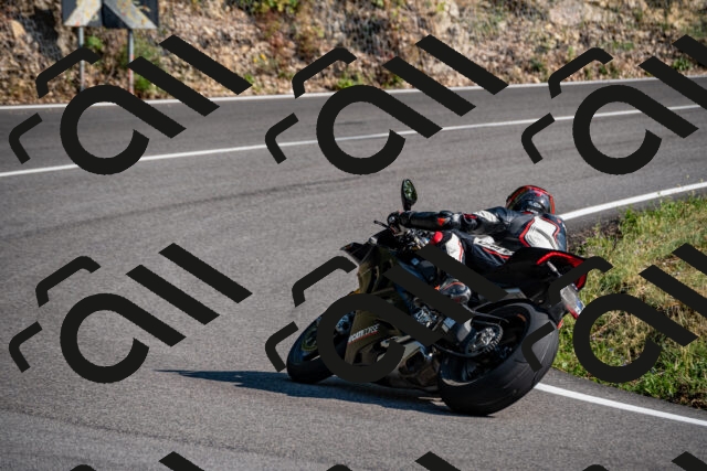 202508101658-_DSC4062_d2_