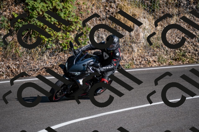 202508101700-_DSC4068_d2_