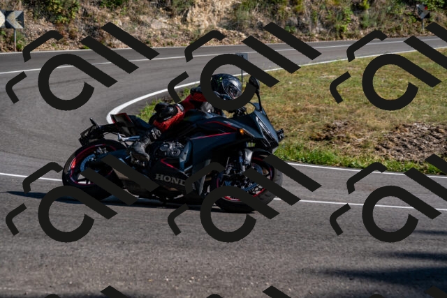 202508101700-_DSC4071_d2_