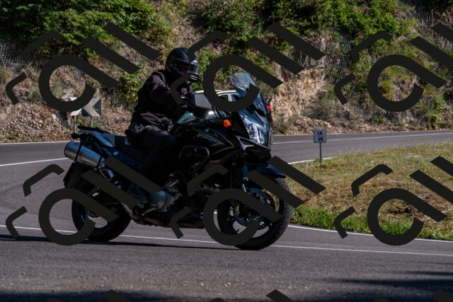 202508101701-_DSC4085_d2_