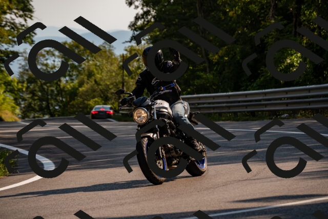 202508101702-_DSC4089_d2_